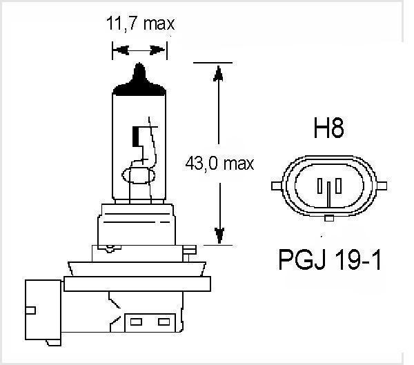 лампочка H8 PGJ 19-1 размеры